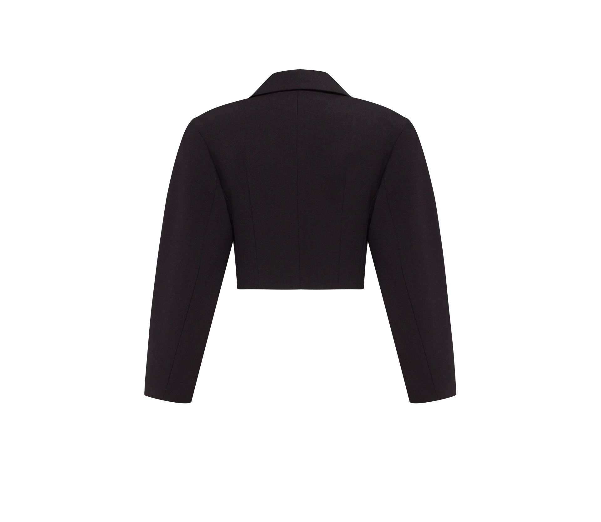 Жакет вкорочений з акцентними рукавами чорний - фото №8 Жакет вкорочений з акцентними рукавами чорний в інтернет-магазині