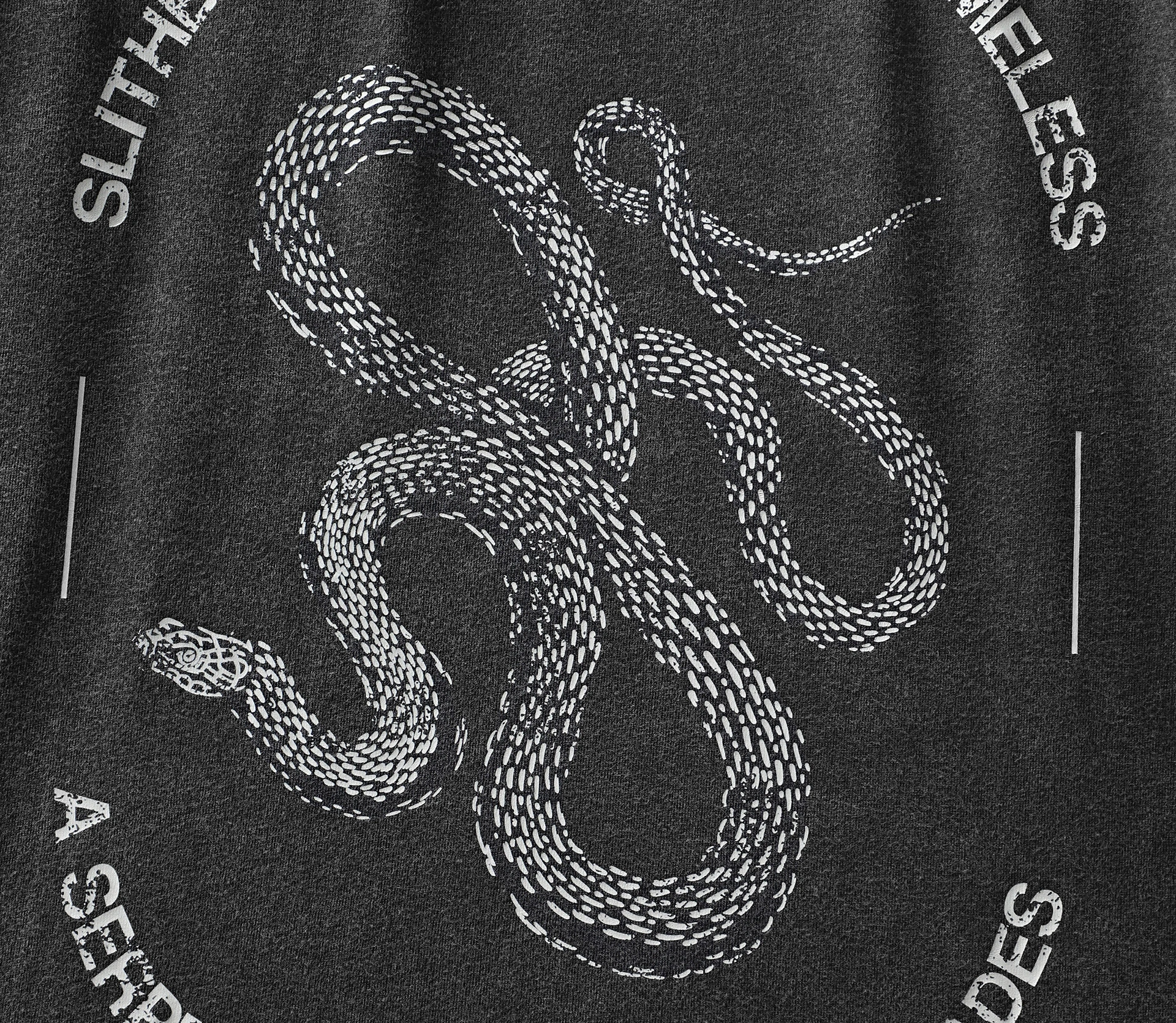 Футболка чоловіча «Snake» сірий купити